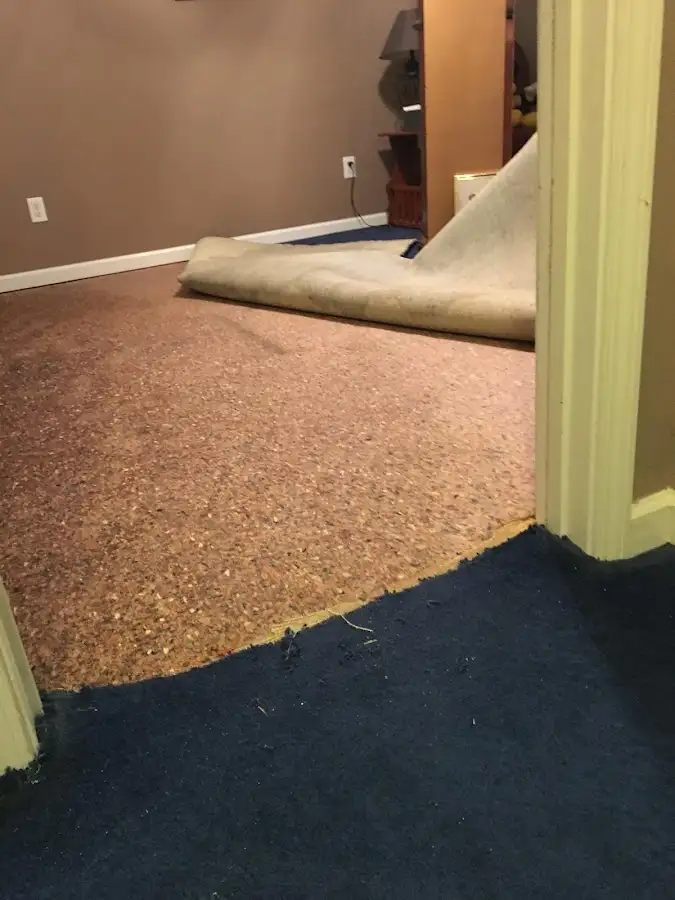 Carpet pad removal revealing water damage during Drying & Dehumidification in Canterbury